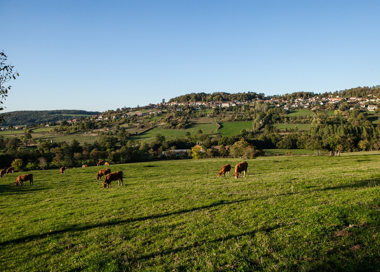 Pont des Romains de Venarey-Les Laumes